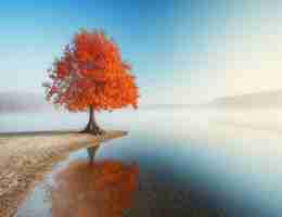 html如﻿何﻿美​化‍按​钮‌